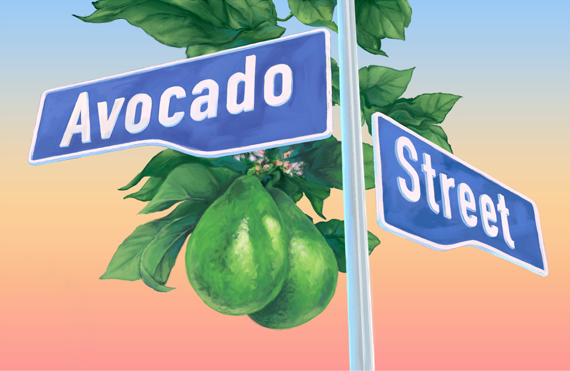 Avocado Street — painted street sign illustration